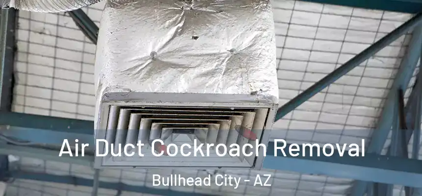 Air Duct Cockroach Removal Bullhead City - AZ