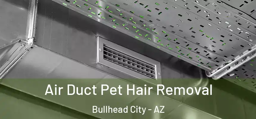  Air Duct Pet Hair Removal Bullhead City - AZ