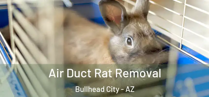 Air Duct Rat Removal Bullhead City - AZ