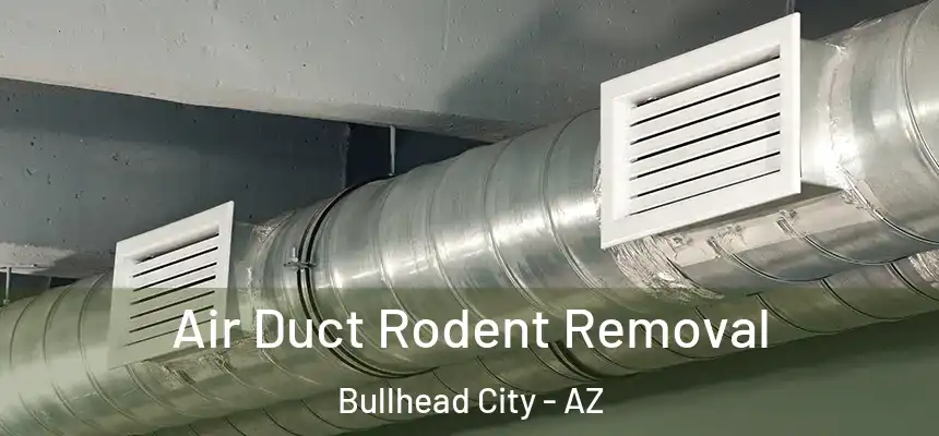 Air Duct Rodent Removal Bullhead City - AZ