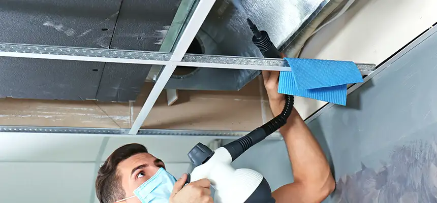 Our Air Duct Rodent Removal Services in Bullhead City, AZ