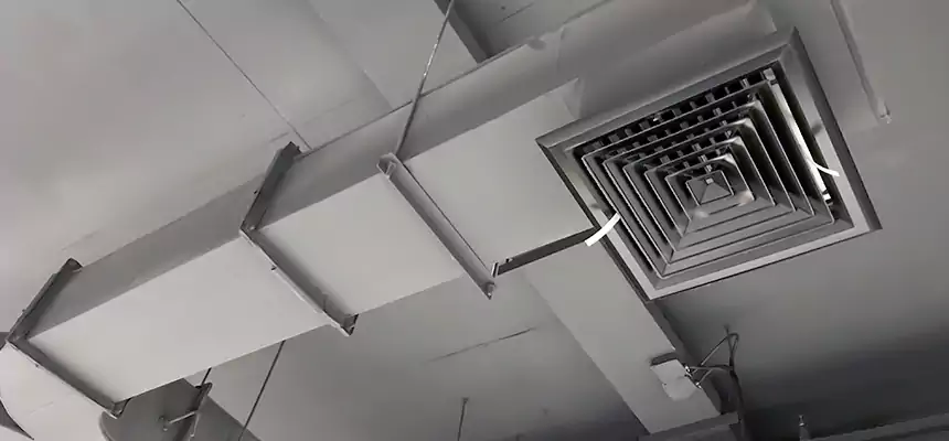 Restorative Allergy Relief Vent Cleaning – Coil, Blower & Housing Detail in Bullhead City