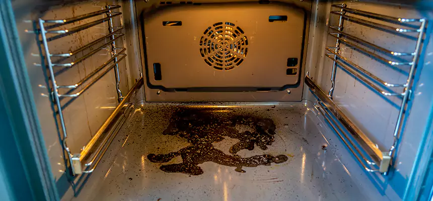 Our Dryer Vent Mold Cleaning Services in Bullhead City, AZ