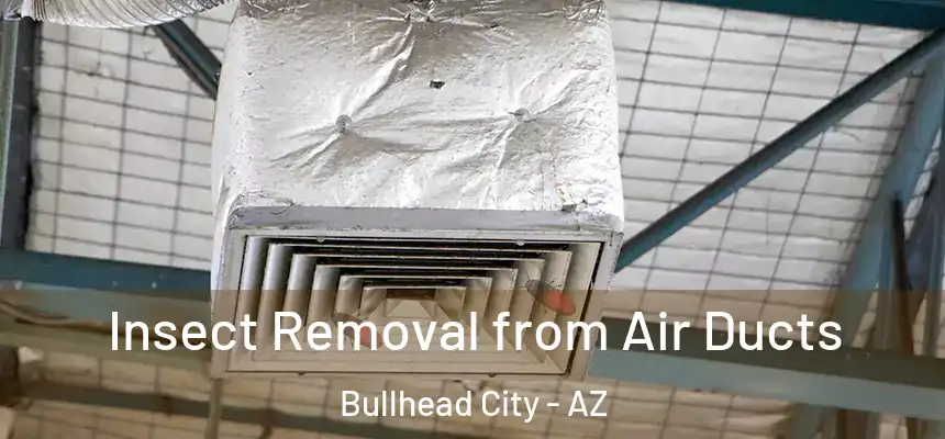 Insect Removal from Air Ducts Bullhead City - AZ
