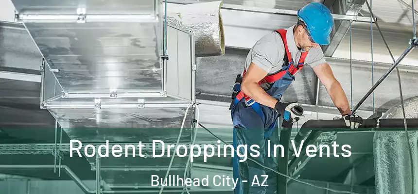  Rodent Droppings In Vents Bullhead City - AZ