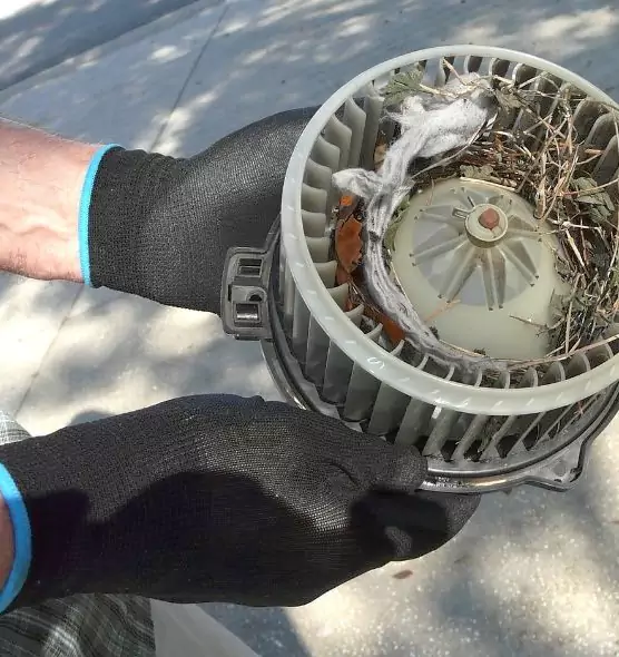 About Air Duct Rat Removal in Bullhead City, AZ