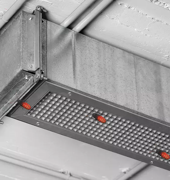 Affordable Insect Removal from Air Ducts in Bullhead City, AZ