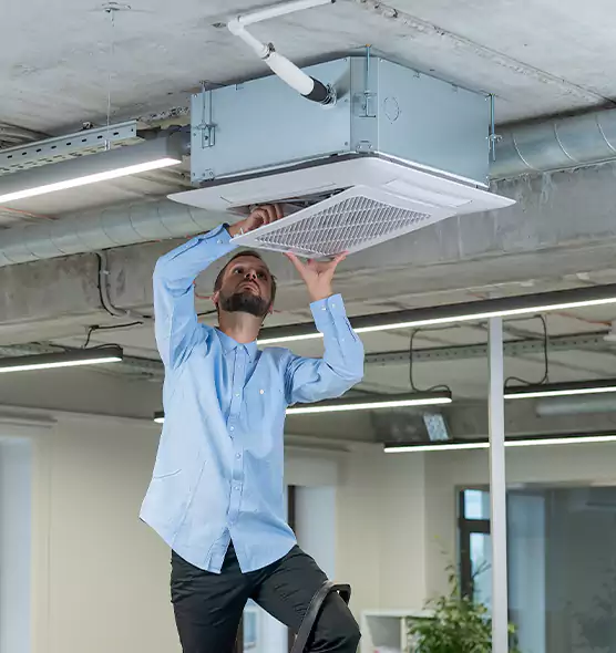 Advanced Rodent Droppings In Vents in Bullhead City, AZ