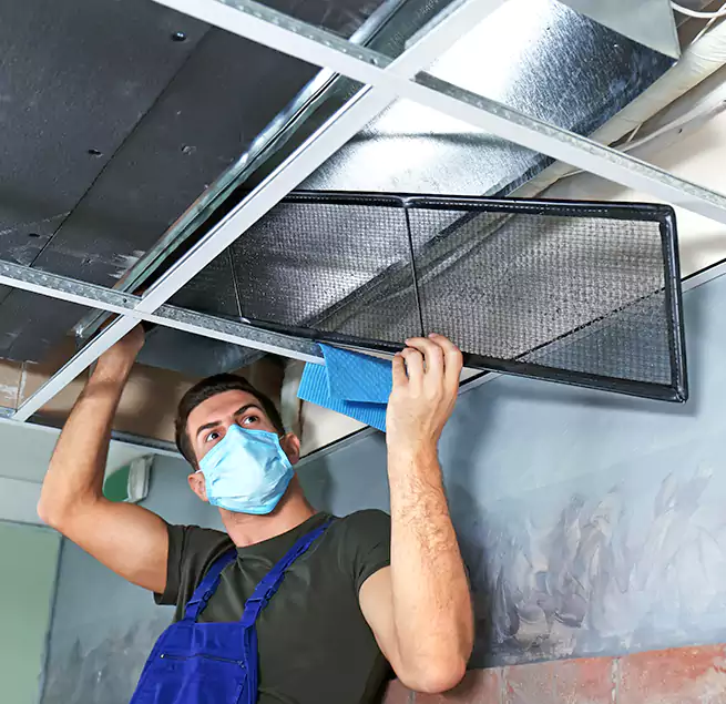 Why Homeowners Businesses Trust Us in Bullhead City, AZ