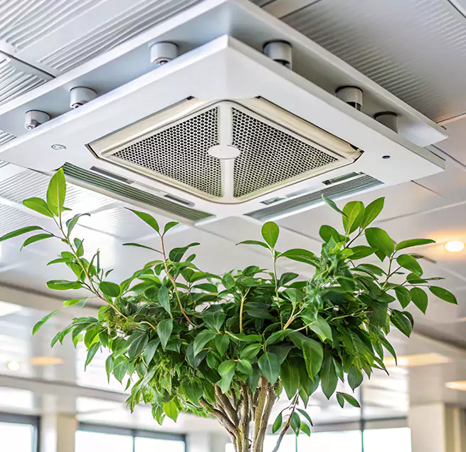 Why Homeowners & Businesses Trust Us in Bullhead City, AZ